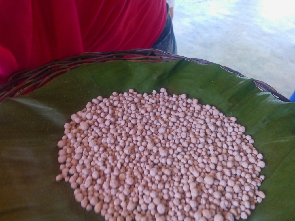 bohol blog, bohol blogger, bohol attractions Philippines, bohol river cruise blog,