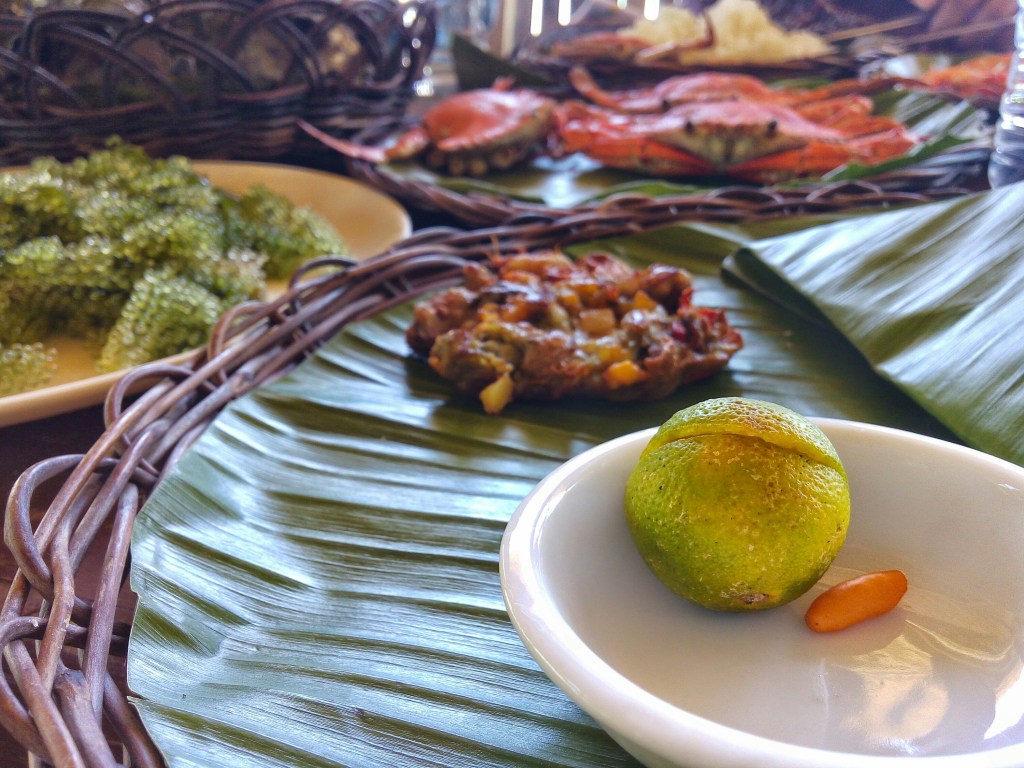 bohol blog, bohol blogger, bohol attractions Philippines, bohol river cruise blog,