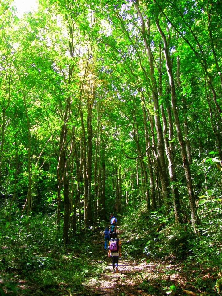 magsaysay park bilar bohol, places to go bohol, nature wildlife bohol, camping bohol, trekking bohol