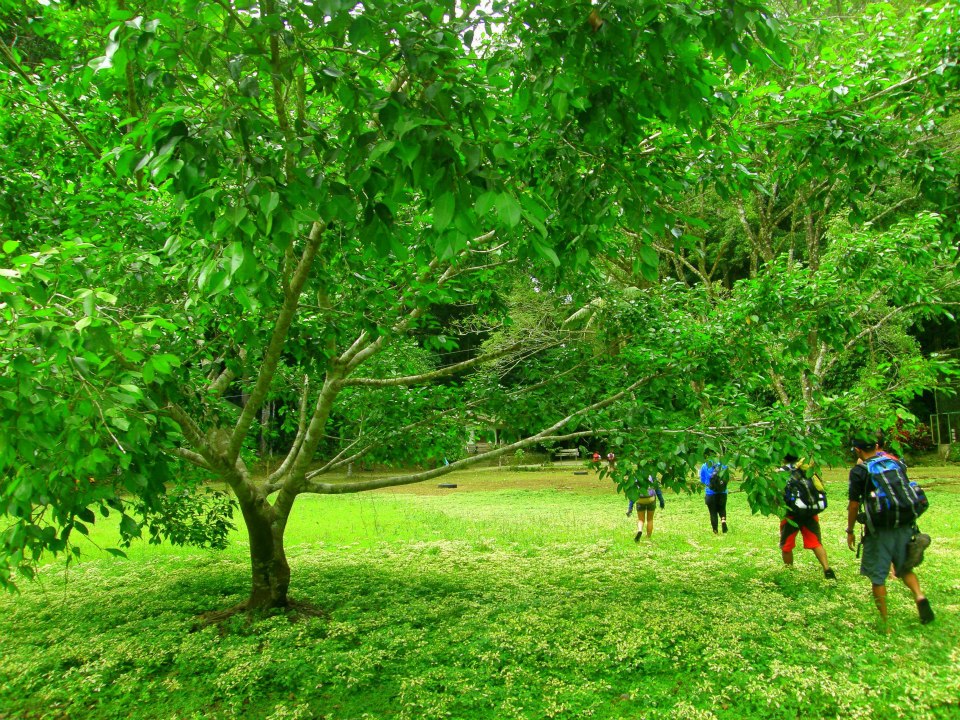 magsaysay park bilar bohol, places to go bohol, nature wildlife bohol, camping bohol, trekking bohol