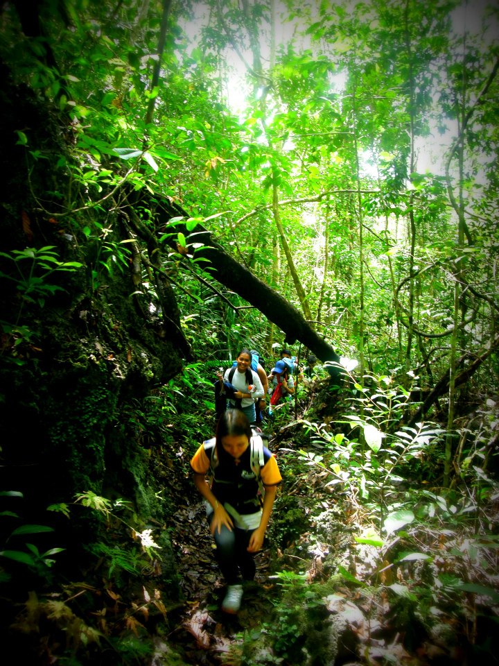 magsaysay park bilar bohol, places to go bohol, nature wildlife bohol, camping bohol, trekking bohol