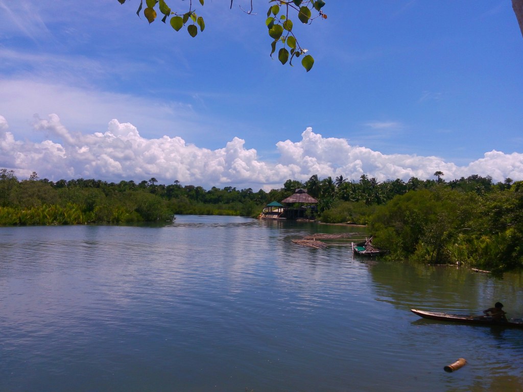 bohol blog, bohol blogger, bohol attractions Philippines, bohol river cruise blog,