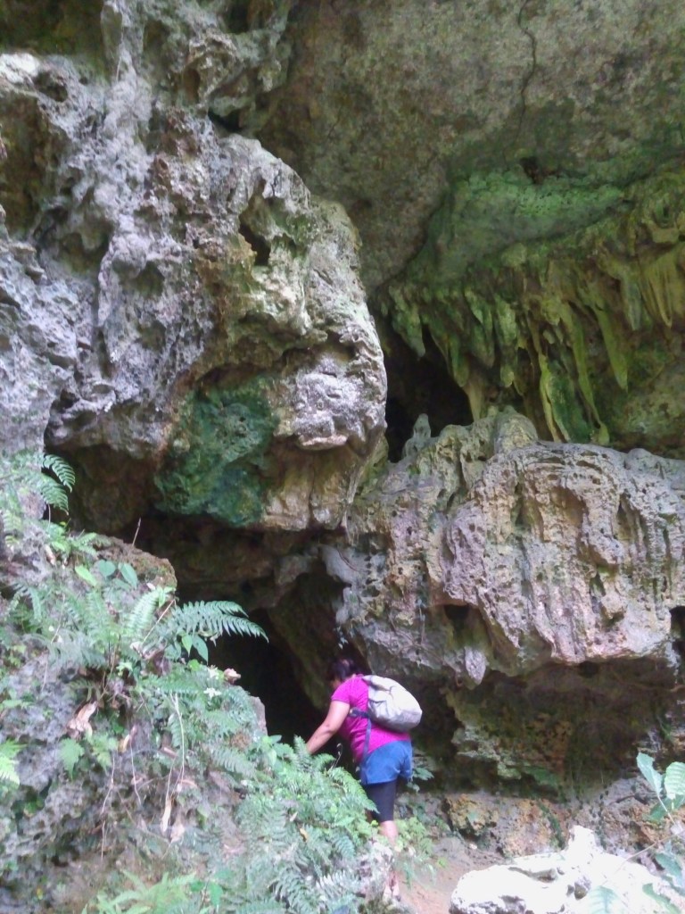 magsaysay park bilar bohol, places to go bohol, nature wildlife bohol, camping bohol, trekking bohol