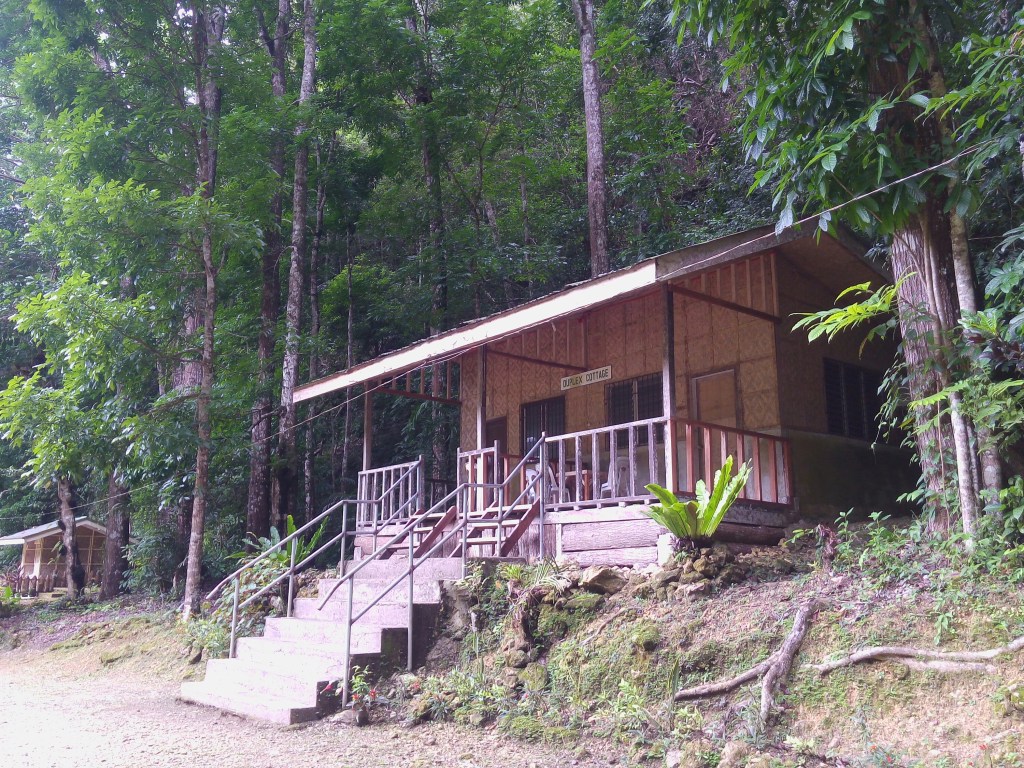 magsaysay park bilar bohol, places to go bohol, nature wildlife bohol, camping bohol, trekking bohol