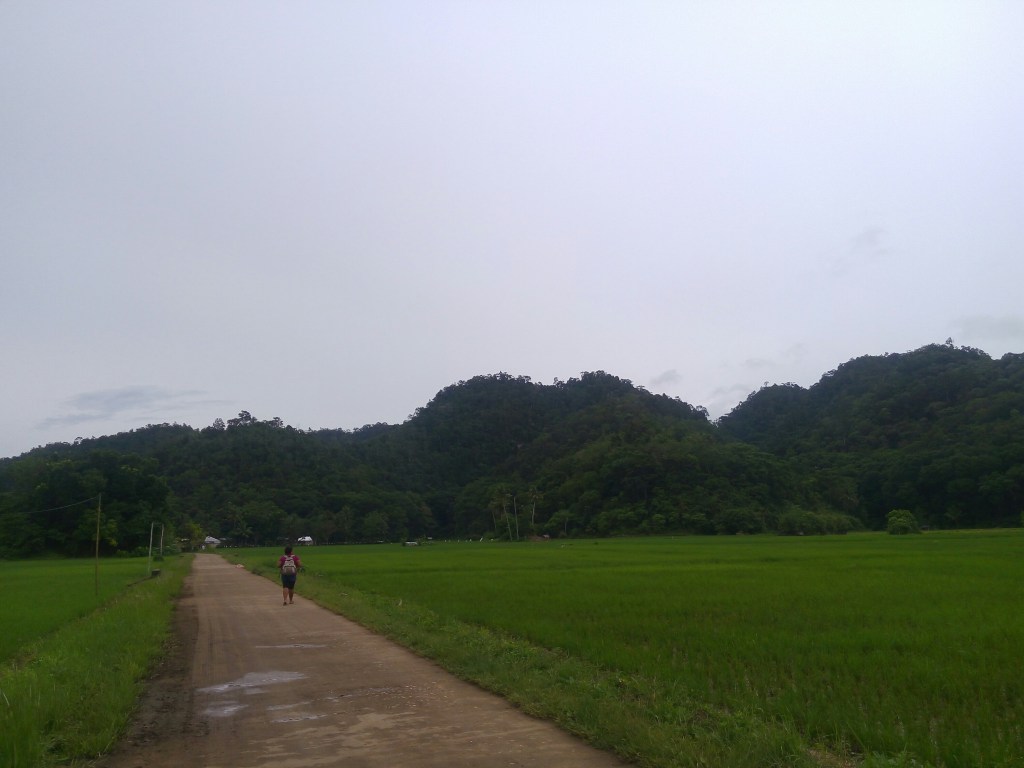 magsaysay park bilar bohol, places to go bohol, nature wildlife bohol, camping bohol, trekking bohol