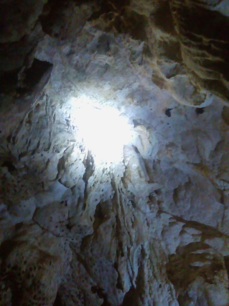 magsaysay park bilar bohol, places to go bohol, nature wildlife bohol, camping bohol, trekking bohol