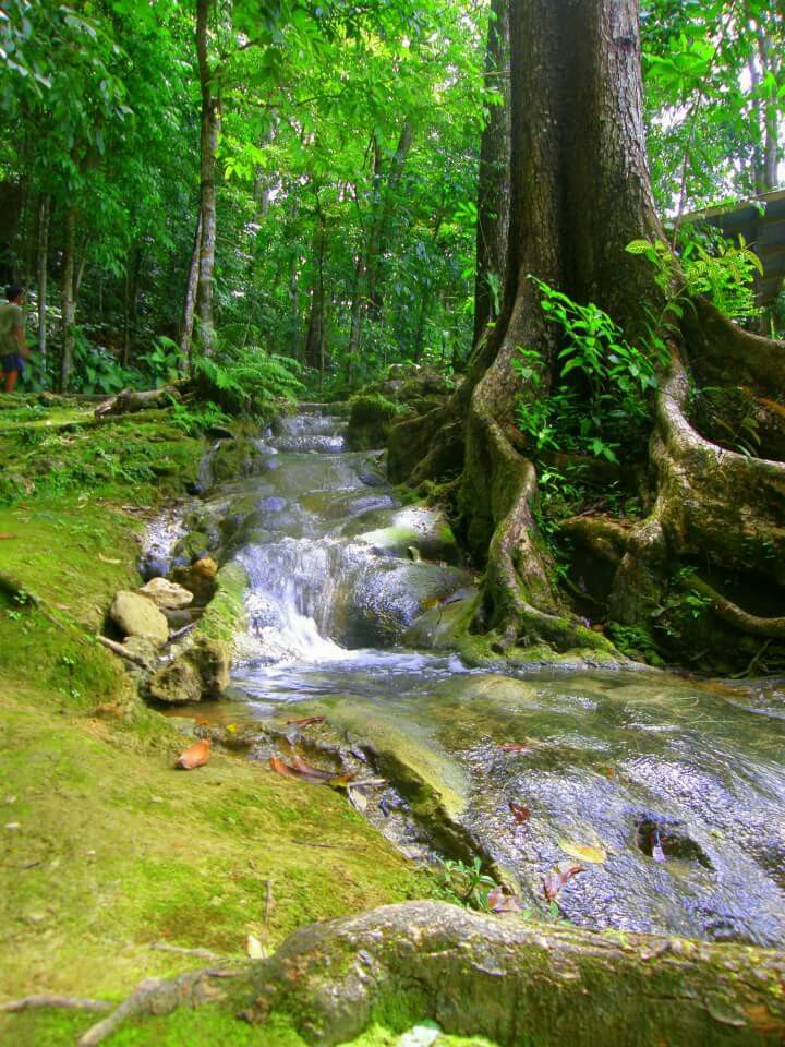 magsaysay park bilar bohol, places to go bohol, nature wildlife bohol, camping bohol, trekking bohol