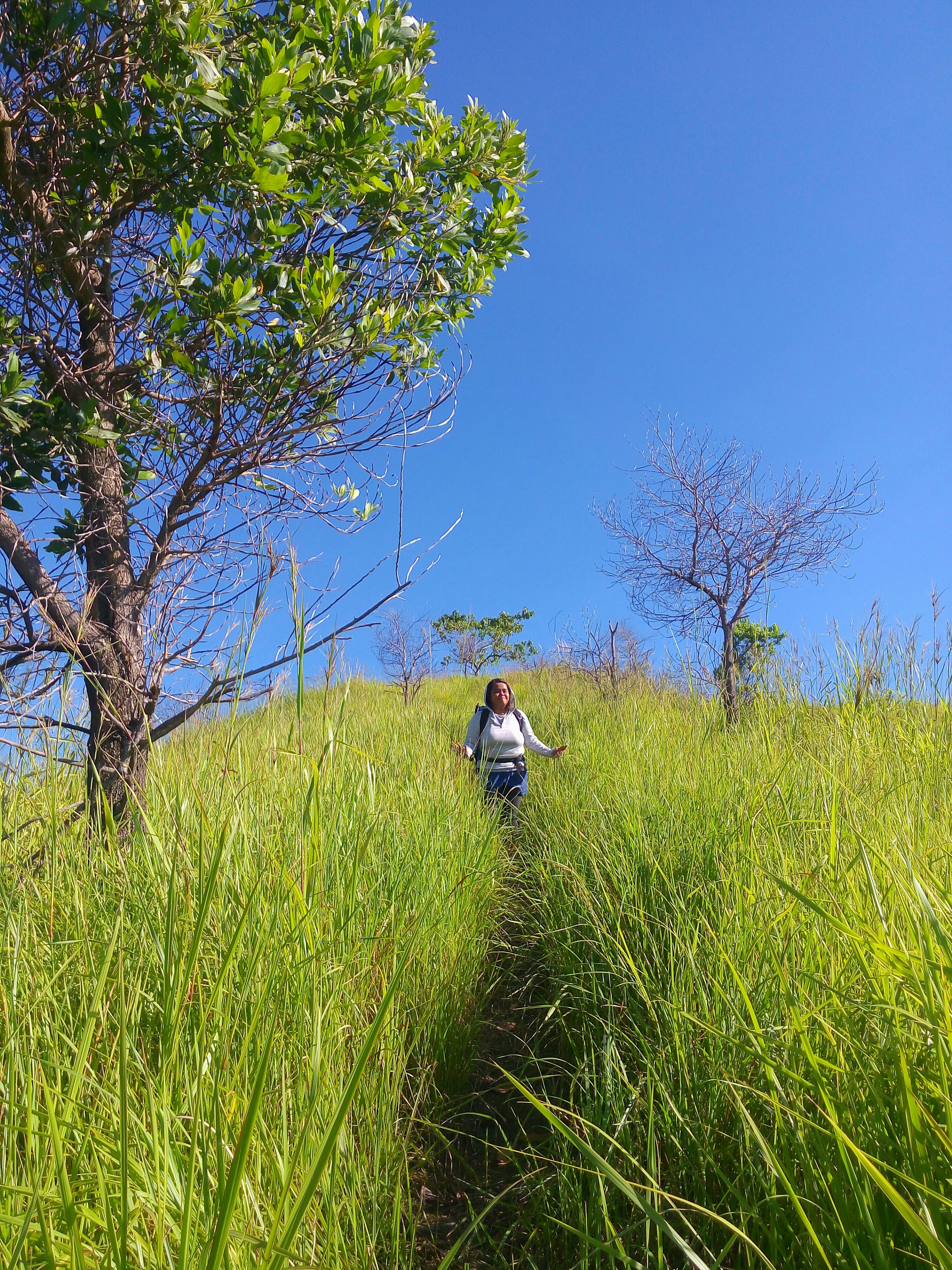Bohol Alicia Trekking,Tips, how to go there, bohol adventure backpacking