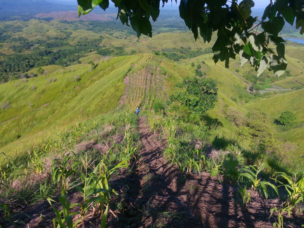 Bohol Alicia Trekking,Tips, how to go there, bohol adventure backpacking