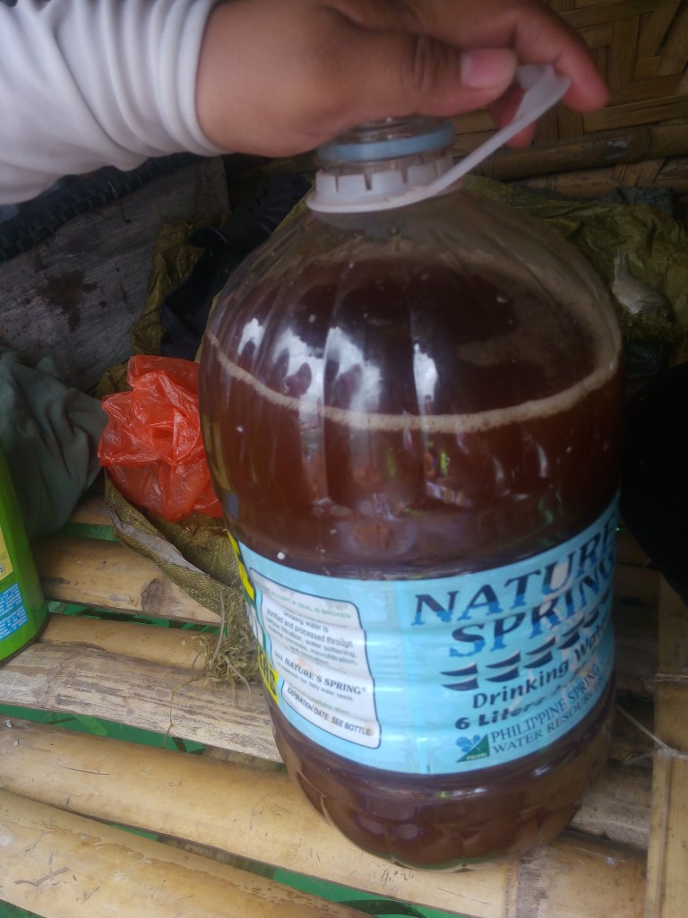 bohol culture, panglao bohol philippines, fish pen bohol philippines, local bohol, local way bohol