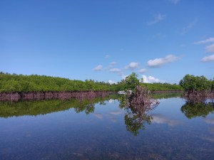 bohol culture, panglao bohol philippines, fish pen bohol philippines, local bohol, local way bohol