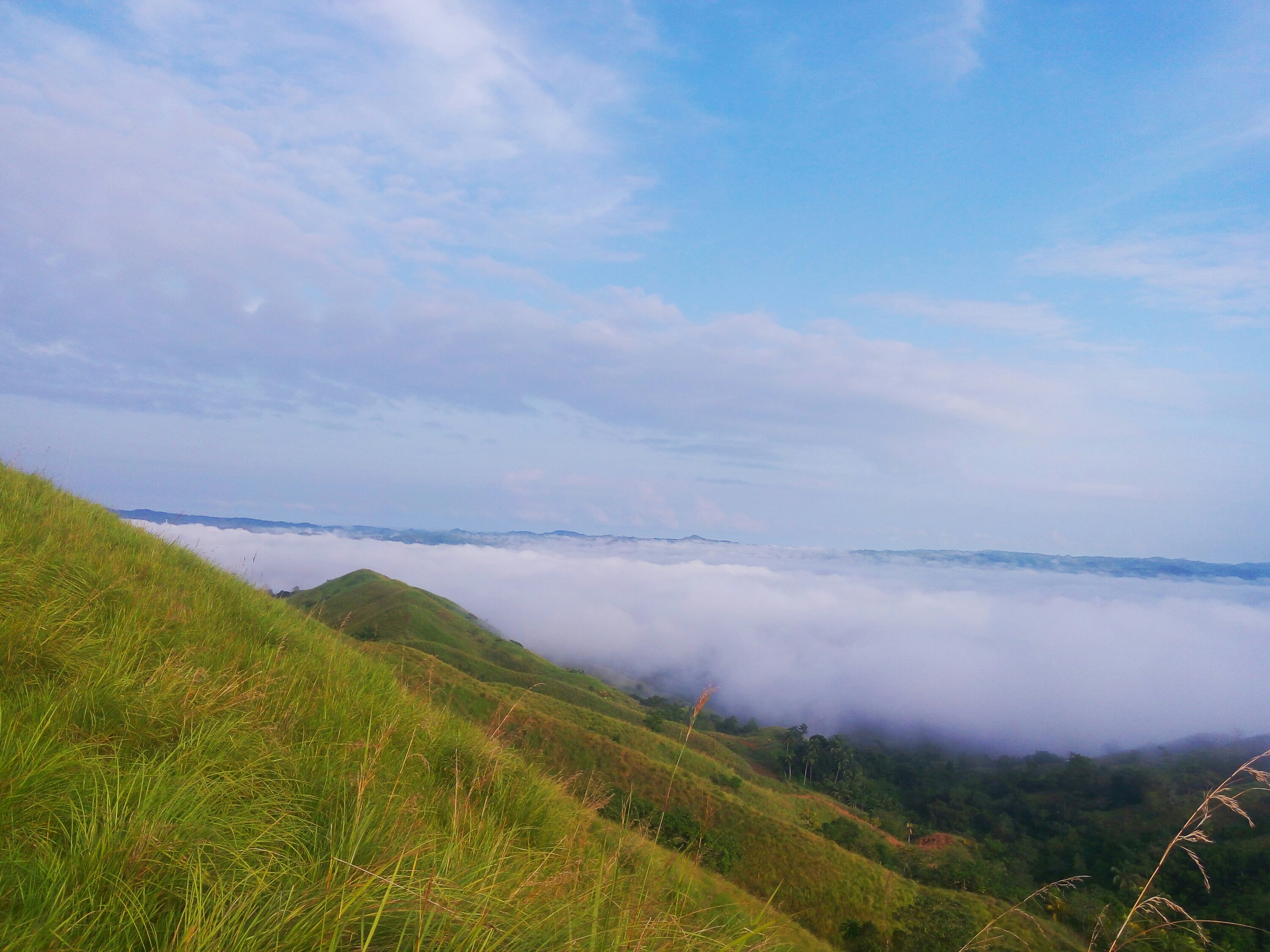 bohol sea of clouds blog, danao sea of clouds blog, dagohoy sea of clouds blog, how to go to danao sea of clouds, things to do in bohol, camping sites bohol, bohol blogs, bohol blogger, bohol philippines, the boholana blog