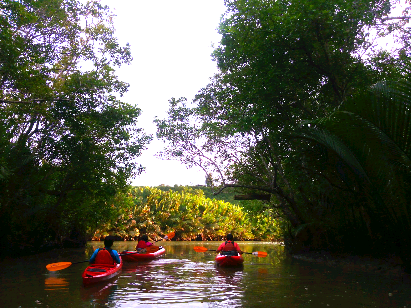 kayaking bohol, kayak adventure bohol, firefly watching bohol philippines,