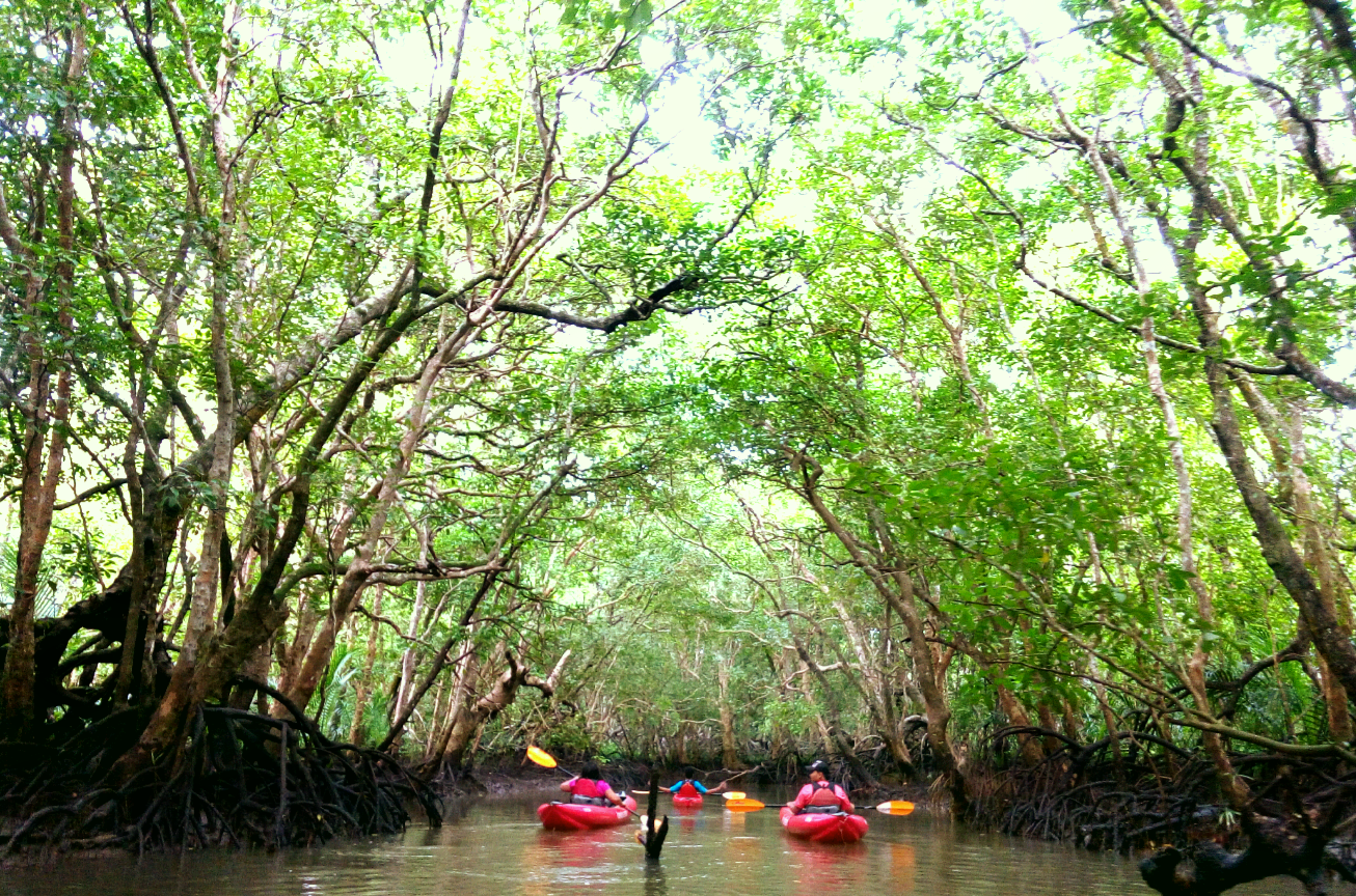 kayaking bohol, kayak adventure bohol, firefly watching bohol philippines,