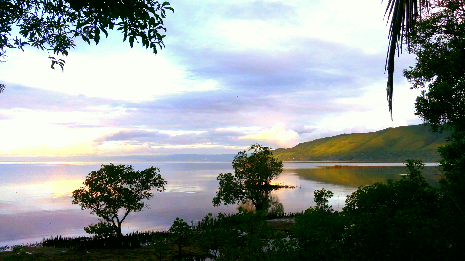 SAVIMA MANGROVE ADVENTURE bohol, camping bohol, camp site bohol, bohol adventure