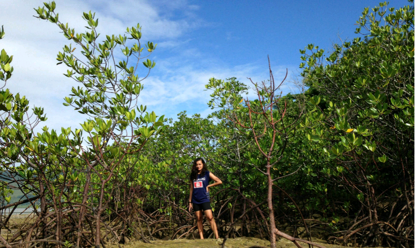 SAVIMA MANGROVE ADVENTURE bohol, camping bohol, camp site bohol, bohol adventure