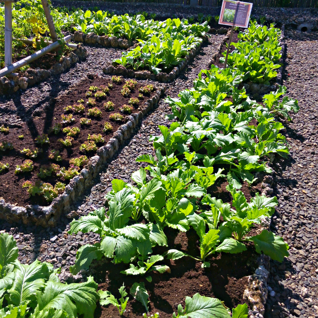 Places to visit in bohol, bohol tour, bohol island hopping, vita isola bohol, bohol event venues