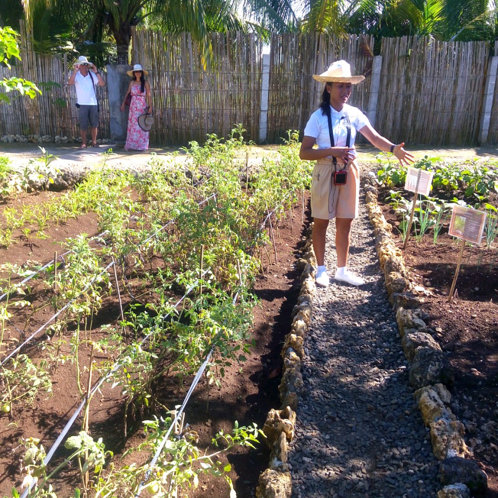 Places to visit in bohol, bohol tour, bohol island hopping, vita isola bohol, bohol event venues