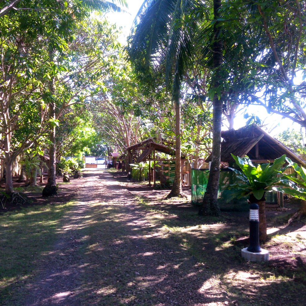 Places to visit in bohol, bohol tour, bohol island hopping, vita isola bohol, bohol event venues