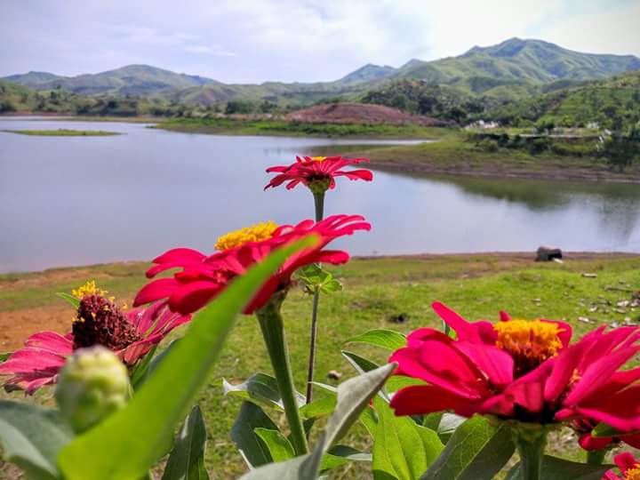 Ubay Bohol, Places to go in Ubay Bohol, Ubay Blog, Bohol Blog, bohol blogger, ecotourism bohol, farm tourism bohol