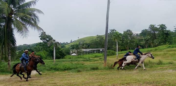 Horseback Riding, Ubay Stock Farm, Ubay Bohol, Places to go in Ubay Bohol, Ubay Blog, Bohol Blog, bohol blogger, ecotourism bohol, farm tourism bohol