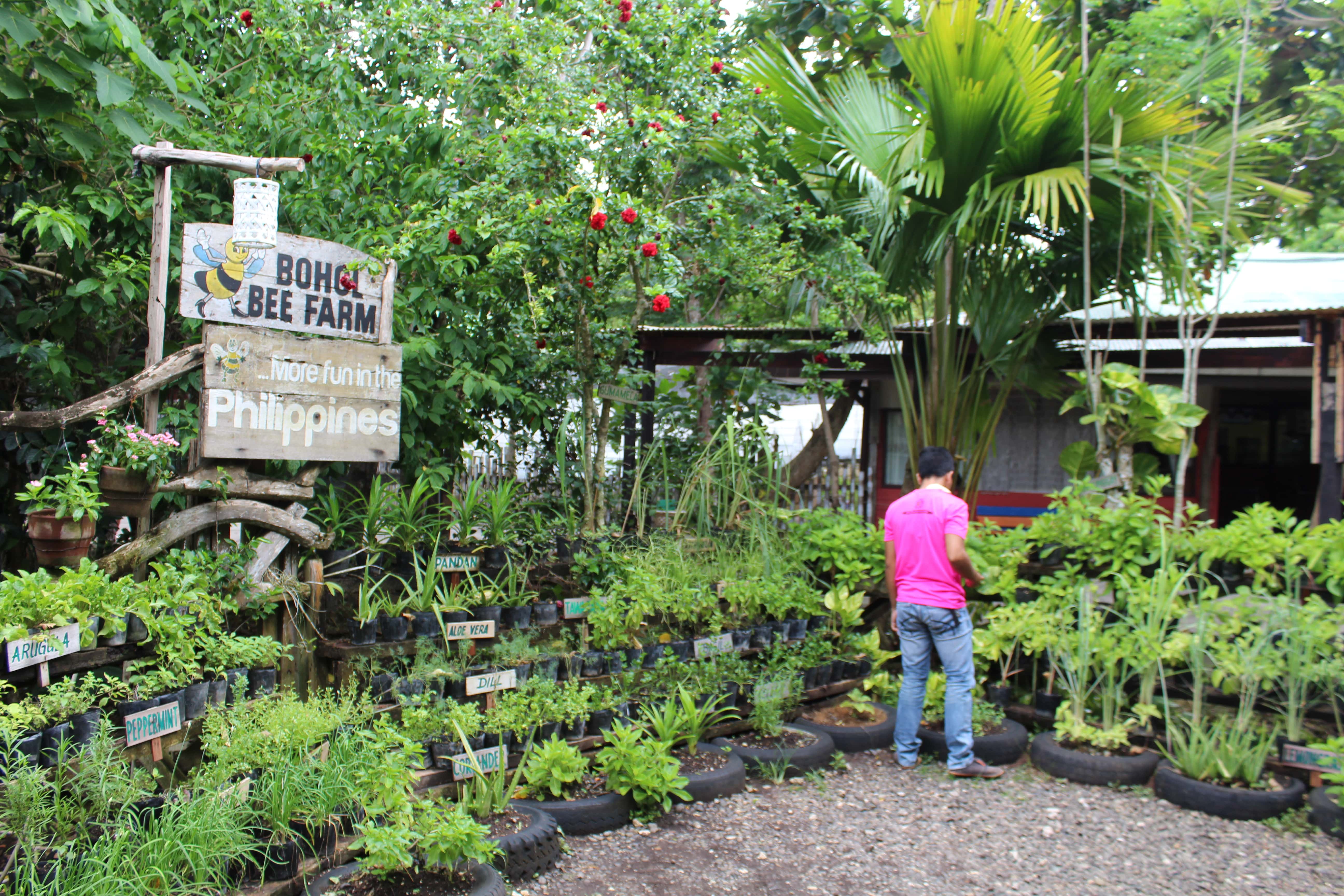 Bohol Bee Farm Tour, Bohol Philippines, bohol tours, bohol ecotourism site, places to visit in bohol, tourist site in bohol