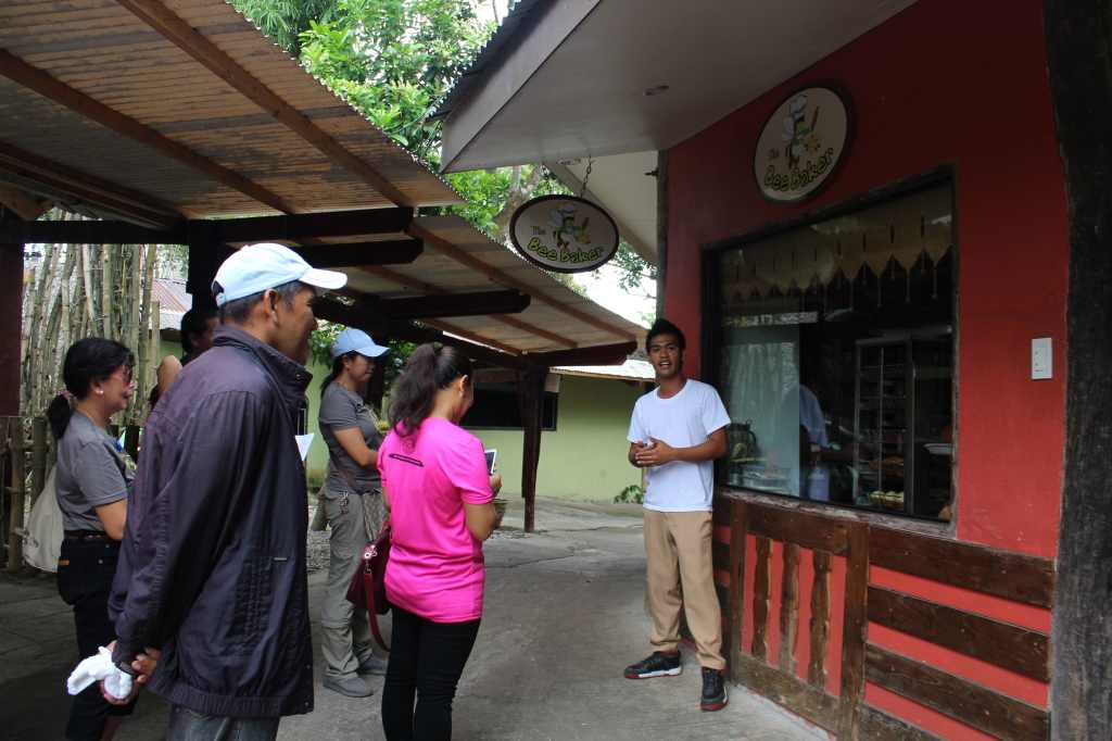 Bohol Bee Farm Tour, Bohol Philippines, bohol tours, bohol ecotourism site, places to visit in bohol, tourist site in bohol