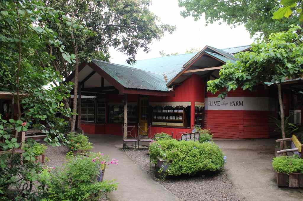 Bohol Bee Farm Tour, Bohol Philippines, bohol tours, bohol ecotourism site, places to visit in bohol, tourist site in bohol