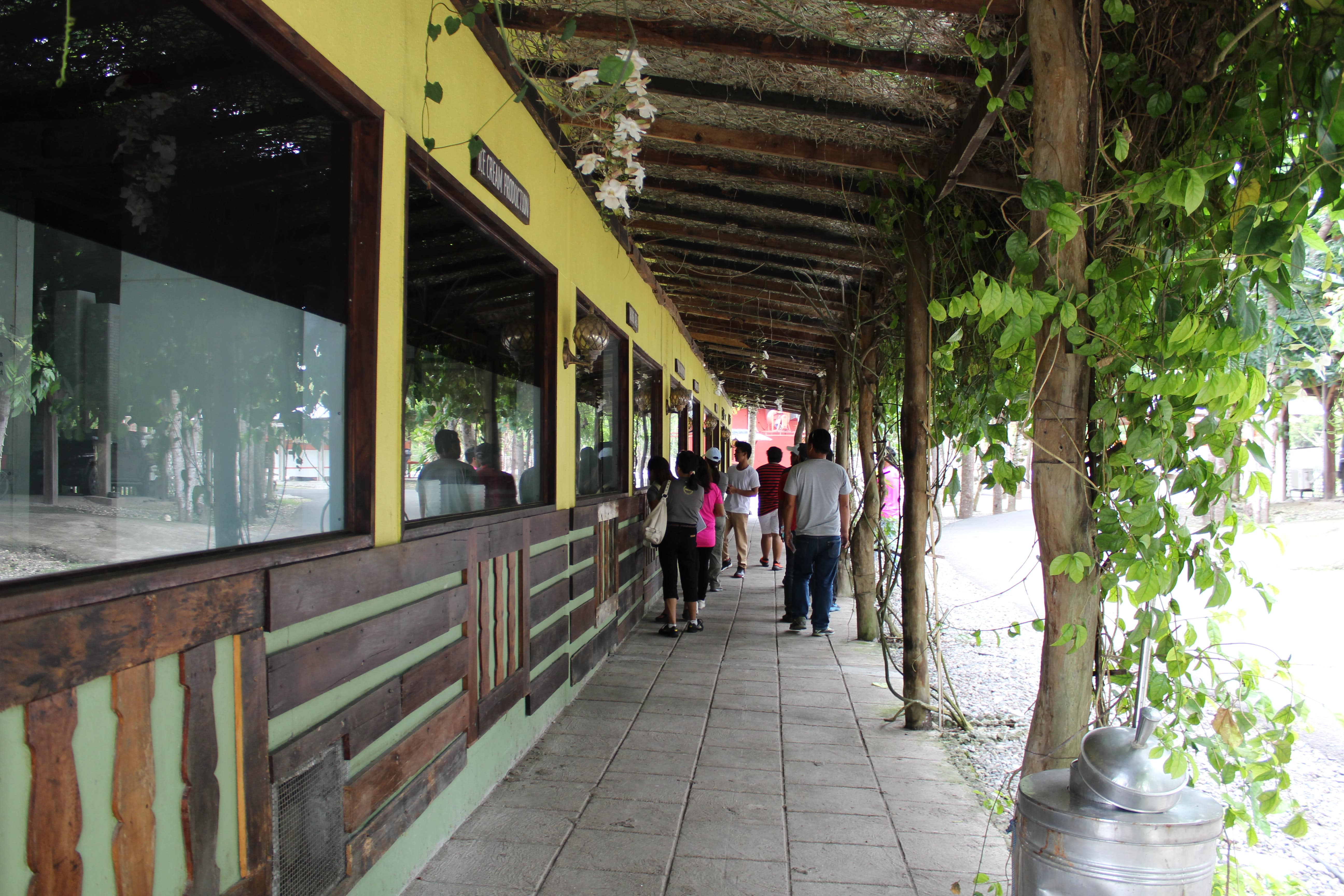 Bohol Bee Farm Tour, Bohol Philippines, bohol tours, bohol ecotourism site, places to visit in bohol, tourist site in bohol