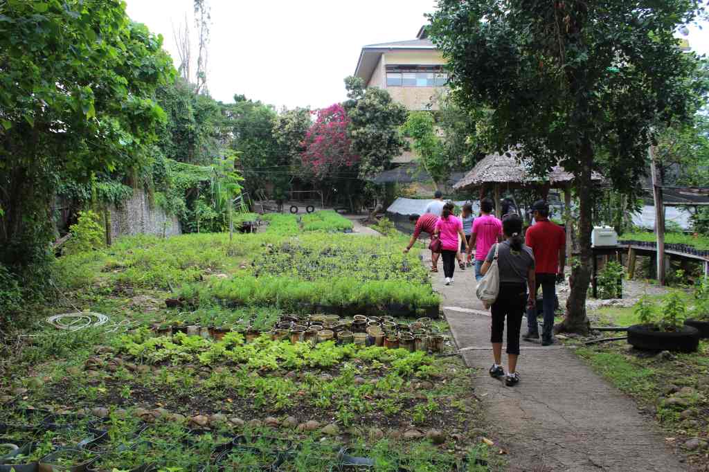 Bohol Bee Farm Tour, Bohol Philippines, bohol tours, bohol ecotourism site, places to visit in bohol, tourist site in bohol
