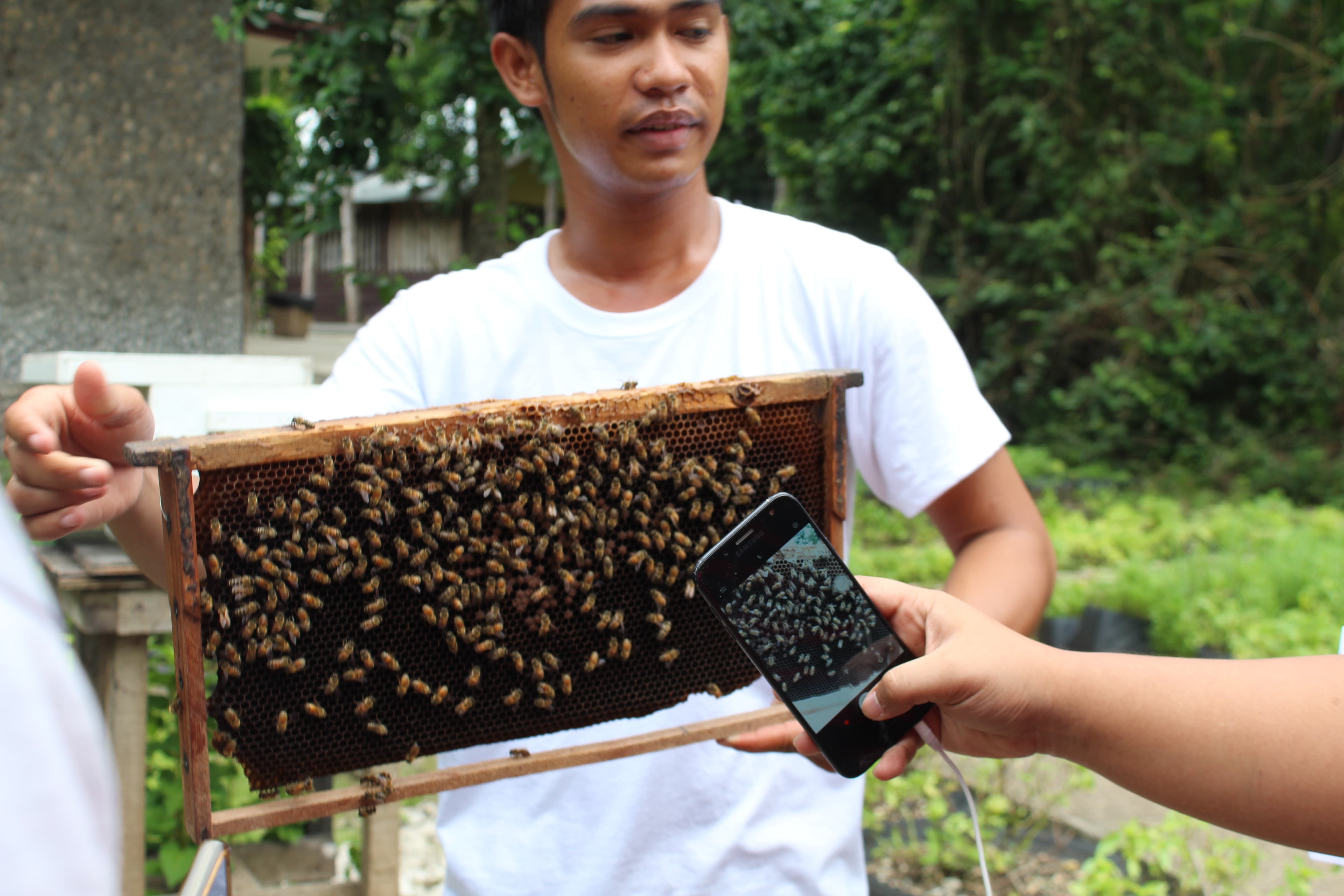 Bohol Bee Farm Tour, Bohol Philippines, bohol tours, bohol ecotourism site, places to visit in bohol, tourist site in bohol