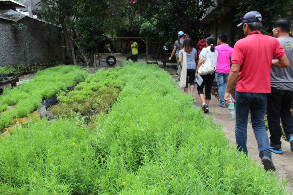 Bohol Bee Farm Tour, Bohol Philippines, bohol tours, bohol ecotourism site, places to visit in bohol, tourist site in bohol