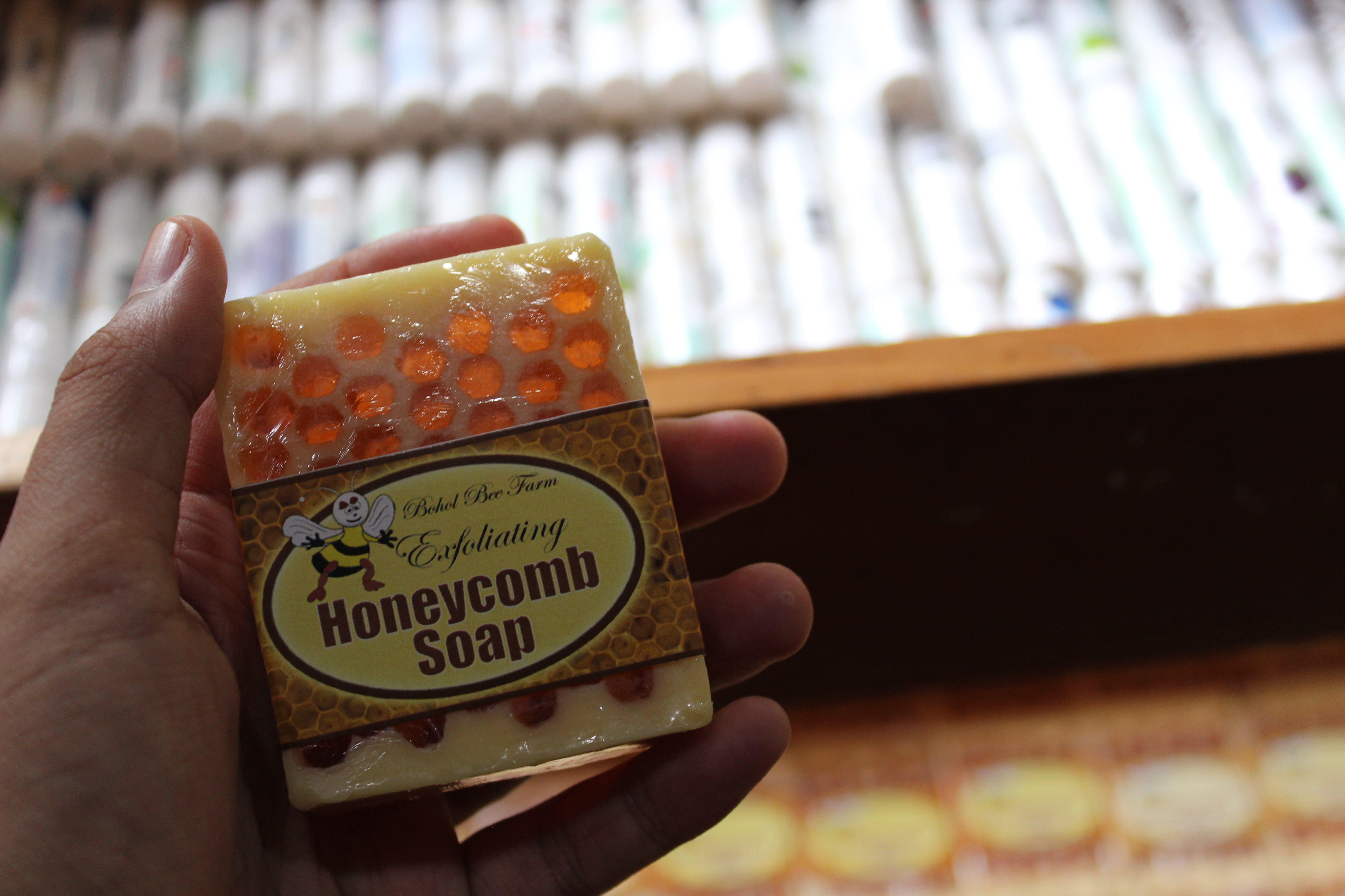 Bohol Bee Farm Tour, Bohol Philippines, bohol tours, bohol ecotourism site, places to visit in bohol, tourist site in bohol