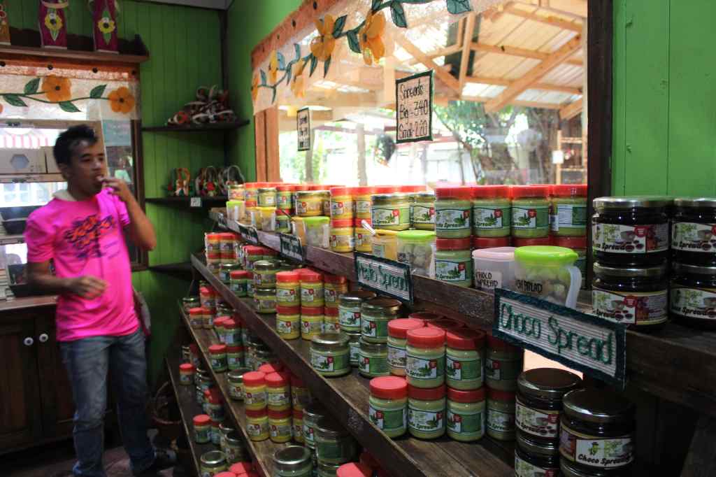 Bohol Bee Farm Tour, Bohol Philippines, bohol tours, bohol ecotourism site, places to visit in bohol, tourist site in bohol