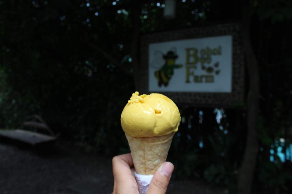 Bohol Bee Farm Tour, Bohol Philippines, bohol tours, bohol ecotourism site, places to visit in bohol, tourist site in bohol