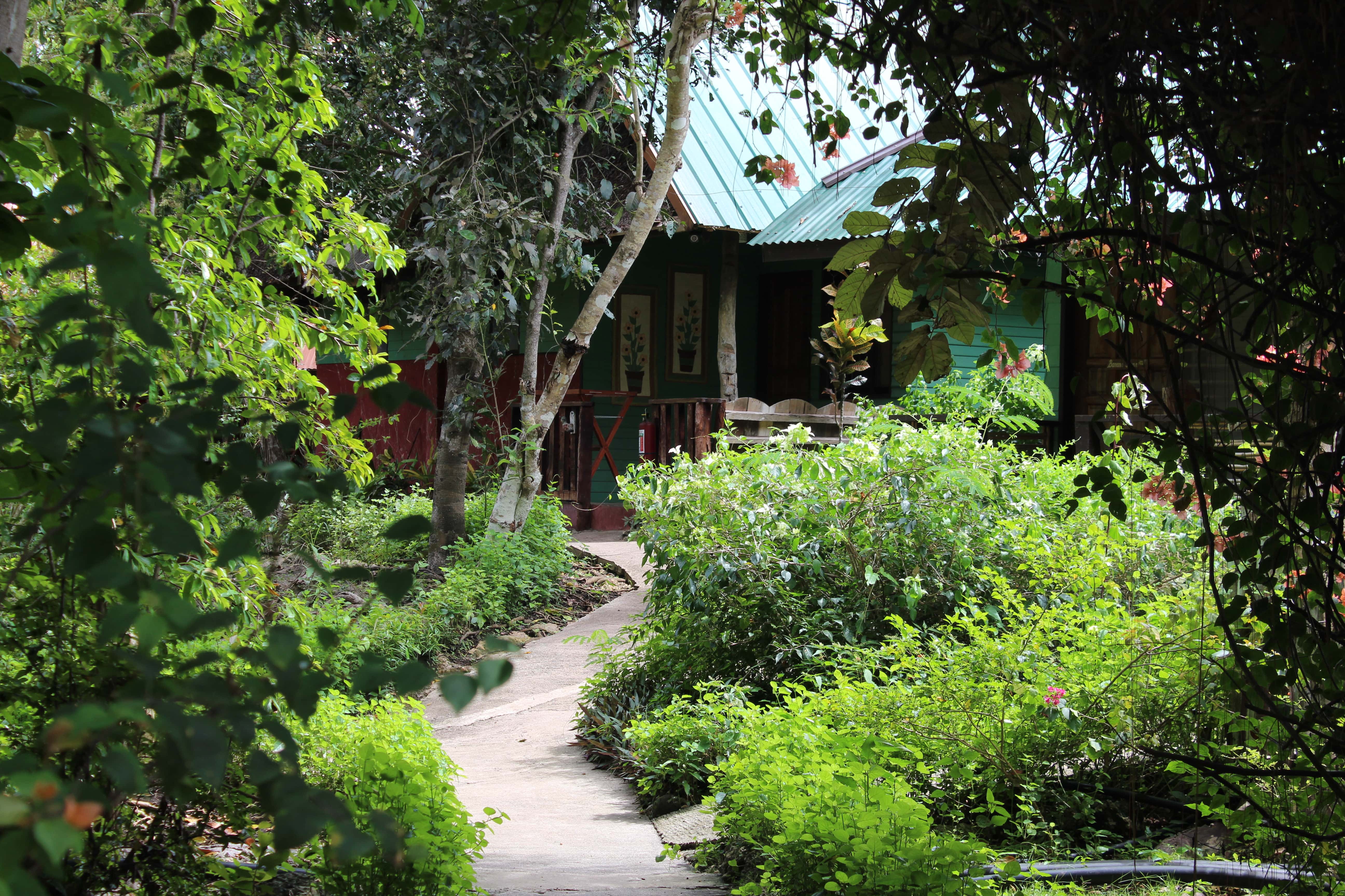 Bohol Bee Farm Tour, Bohol Philippines, bohol tours, bohol ecotourism site, places to visit in bohol, tourist site in bohol