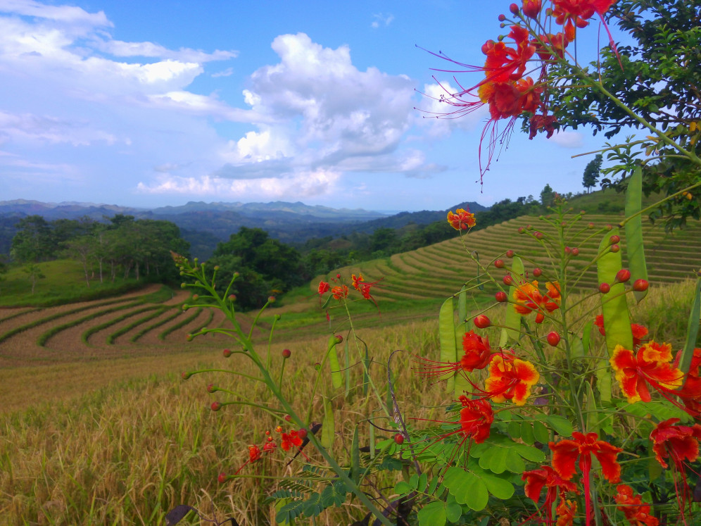 bohol tourist attractions, bohol adventure, bohol itinerary, bohol attractions destinations, candijay bohol, bohol water falls, bohol springs, bohol blog, bohol blogger