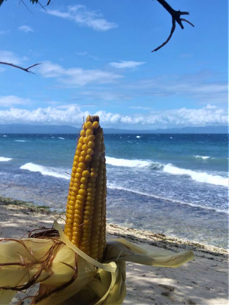cabilao island bohol, cabilao bohol blog, loon bohol, bohol blog, bohol blogger, bohol philippines, places to go bohol, bohol attractions, bohol islands, panglao island