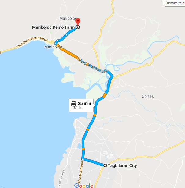 Map to maribojoc demo farm an attraction in bohol