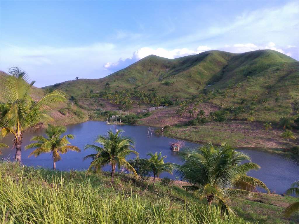 Philippine Coconut Authority (PCA), Ubay Stock Farm, Ubay Bohol, Places to go in Ubay Bohol, Ubay Blog, Bohol Blog, bohol blogger, ecotourism bohol, farm tourism bohol