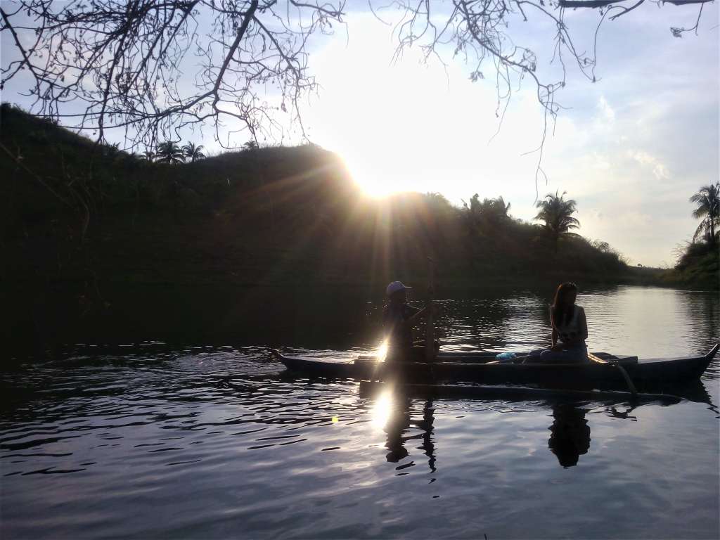 Philippine Coconut Authority (PCA), Ubay Stock Farm, Ubay Bohol, Places to go in Ubay Bohol, Ubay Blog, Bohol Blog, bohol blogger, ecotourism bohol, farm tourism bohol