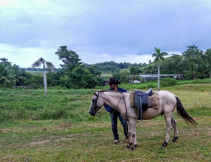 Horseback Riding, Ubay Stock Farm, Ubay Bohol, Places to go in Ubay Bohol, Ubay Blog, Bohol Blog, bohol blogger, ecotourism bohol, farm tourism bohol