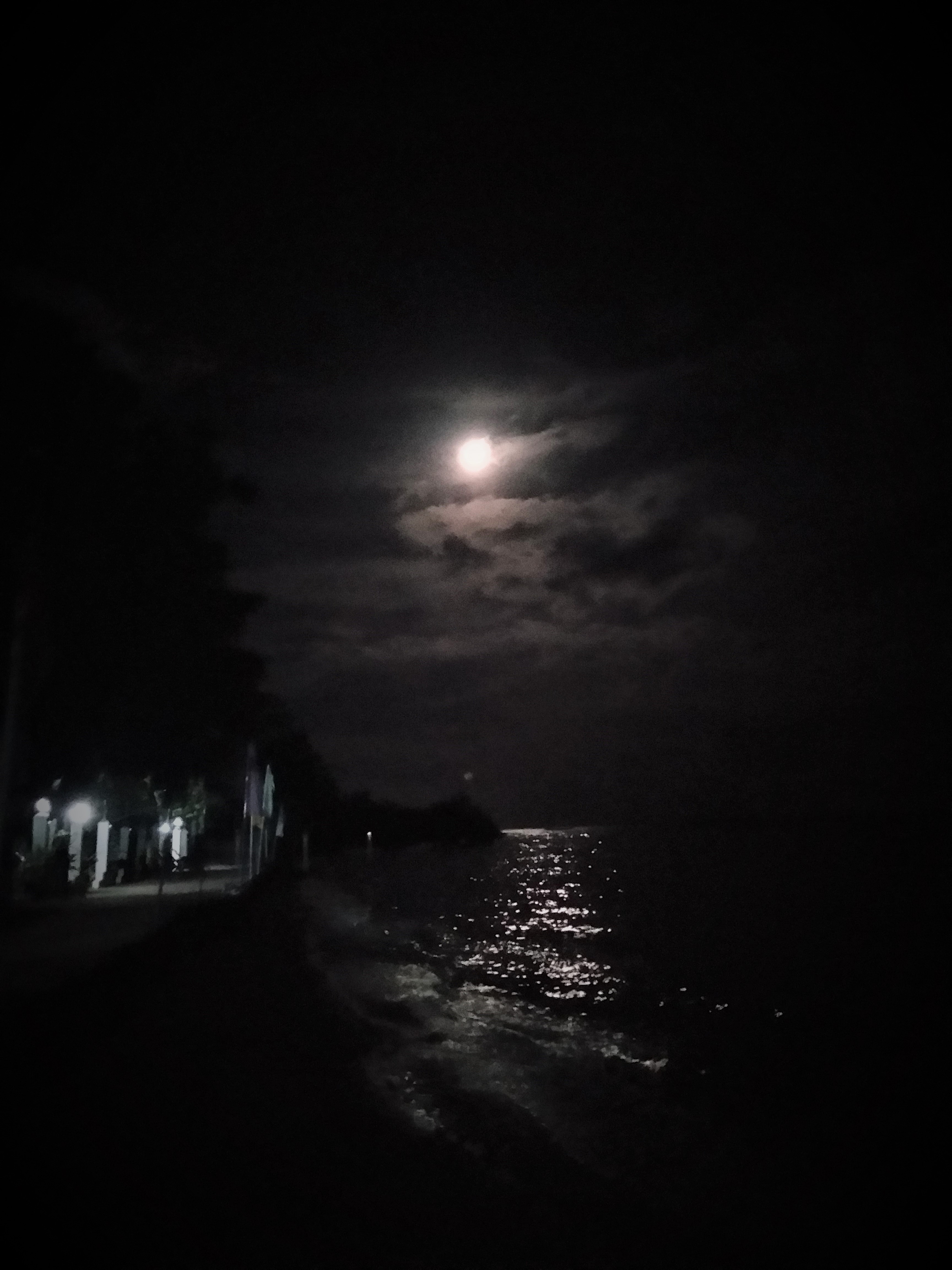 Jao Island Bohol, Jao Island Bohol Blog, Island Hopping Bohol, Bohol Blog, Bohol Blogger, bohol, bohol itinerary, bohol tourist spot, bohol philippines tourist attrations, bohol culture, jao bay resort, talibon bohol, talibon bohol tourist spot