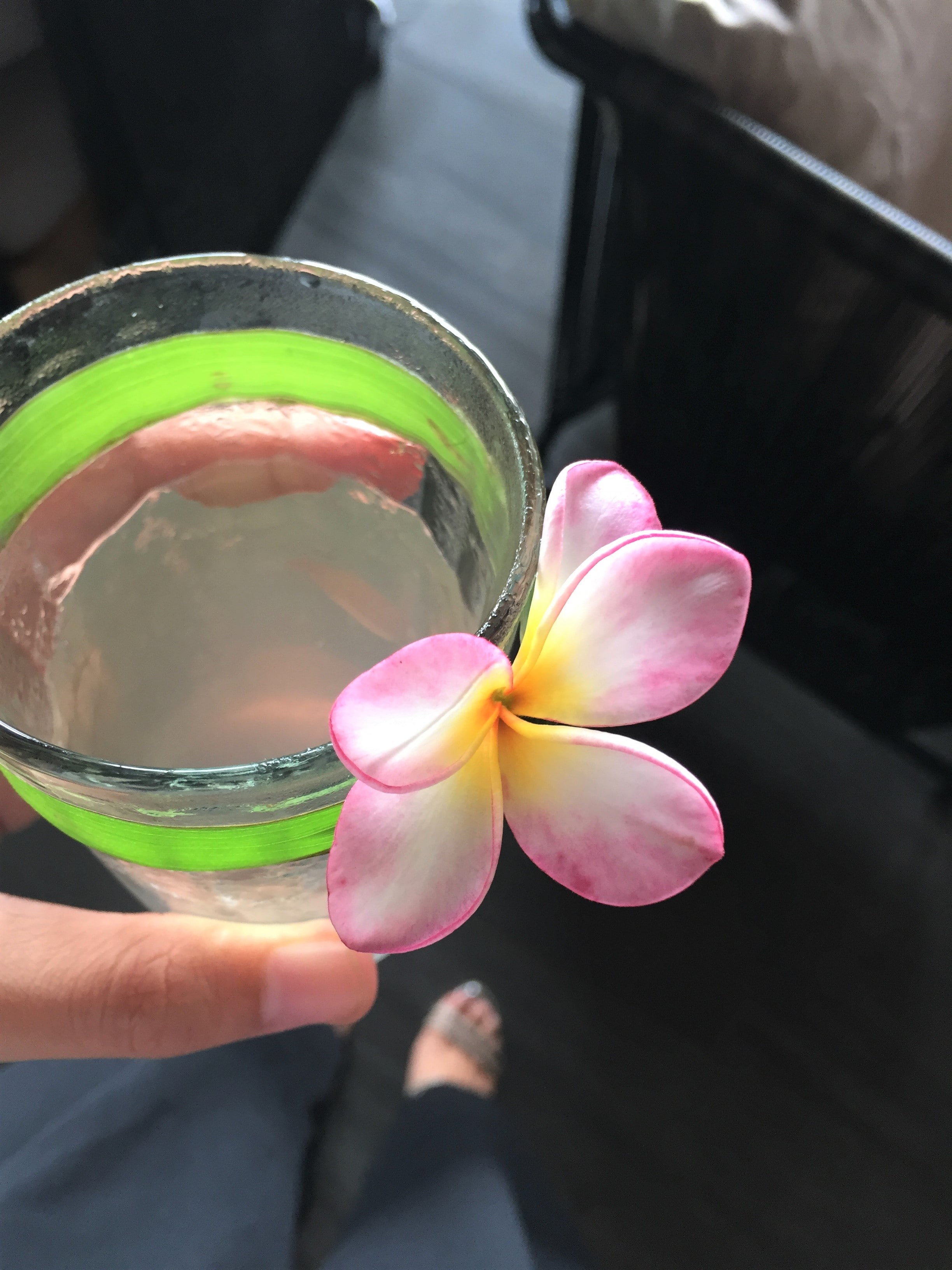 bohol restaurants, bohol restaurant recommendations, bohol restaurants tripadvisor, bohol restaurant buffet, restaurant bohol food, panglao bohol restaurants, amorita Bohol Eats, Amorita bohol BEATS, amorita resort, amorita resort philippines, amorita resort awards, amorita resort owner, amorita resort rates, amorita resort asean awardee, amorita resort price, amorita resort contact number, amorita resort logo, amorita resort review, amorita resort price, amorita resort panglao bohol description, amorita resort history, amorita resort description, be grand resort bohol, bohol resorts, bohol resorts panglao, bohol resorts for family, bohol resorts for sale, bohol resorts and hotels, bohol resorts agoda, bohol resorts alona beach, bohol resorts 5 star, bohol resorts with tour packages, bohol resorts promo, bohol hotels, bohol hotel and resorts, bohol hotel panglao, bohol hotel accommodation, bohol hotel for quarantine, bohol hotel rates, bohol hotels philippines, bohol map, bohol tourist spot, bohol blog, bohol blog 2020, bohol blogger, bohol blog review, bohol blog tour, bohol travel blog, bohol food blog, bohol news blog, cebu bohol blog, bohol accommodation blog