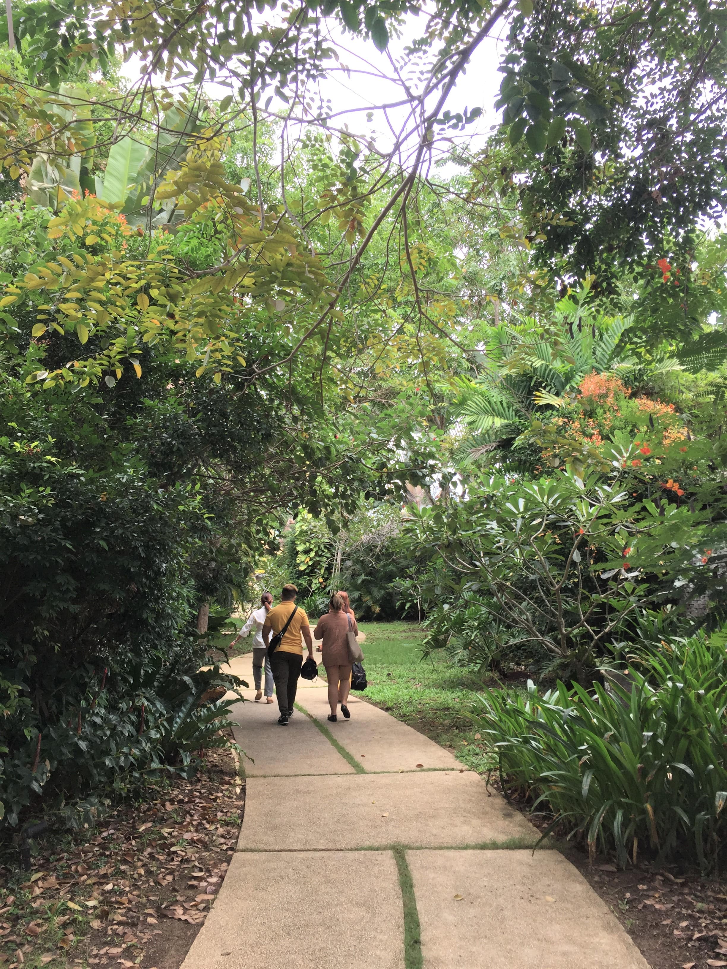 bohol restaurants, bohol restaurant recommendations, bohol restaurants tripadvisor, bohol restaurant buffet, restaurant bohol food, panglao bohol restaurants, amorita Bohol Eats, Amorita bohol BEATS, amorita resort, amorita resort philippines, amorita resort awards, amorita resort owner, amorita resort rates, amorita resort asean awardee, amorita resort price, amorita resort contact number, amorita resort logo, amorita resort review, amorita resort price, amorita resort panglao bohol description, amorita resort history, amorita resort description, be grand resort bohol, bohol resorts, bohol resorts panglao, bohol resorts for family, bohol resorts for sale, bohol resorts and hotels, bohol resorts agoda, bohol resorts alona beach, bohol resorts 5 star, bohol resorts with tour packages, bohol resorts promo, bohol hotels, bohol hotel and resorts, bohol hotel panglao, bohol hotel accommodation, bohol hotel for quarantine, bohol hotel rates, bohol hotels philippines, bohol map, bohol tourist spot, bohol blog, bohol blog 2020, bohol blogger, bohol blog review, bohol blog tour, bohol travel blog, bohol food blog, bohol news blog, cebu bohol blog, bohol accommodation blog