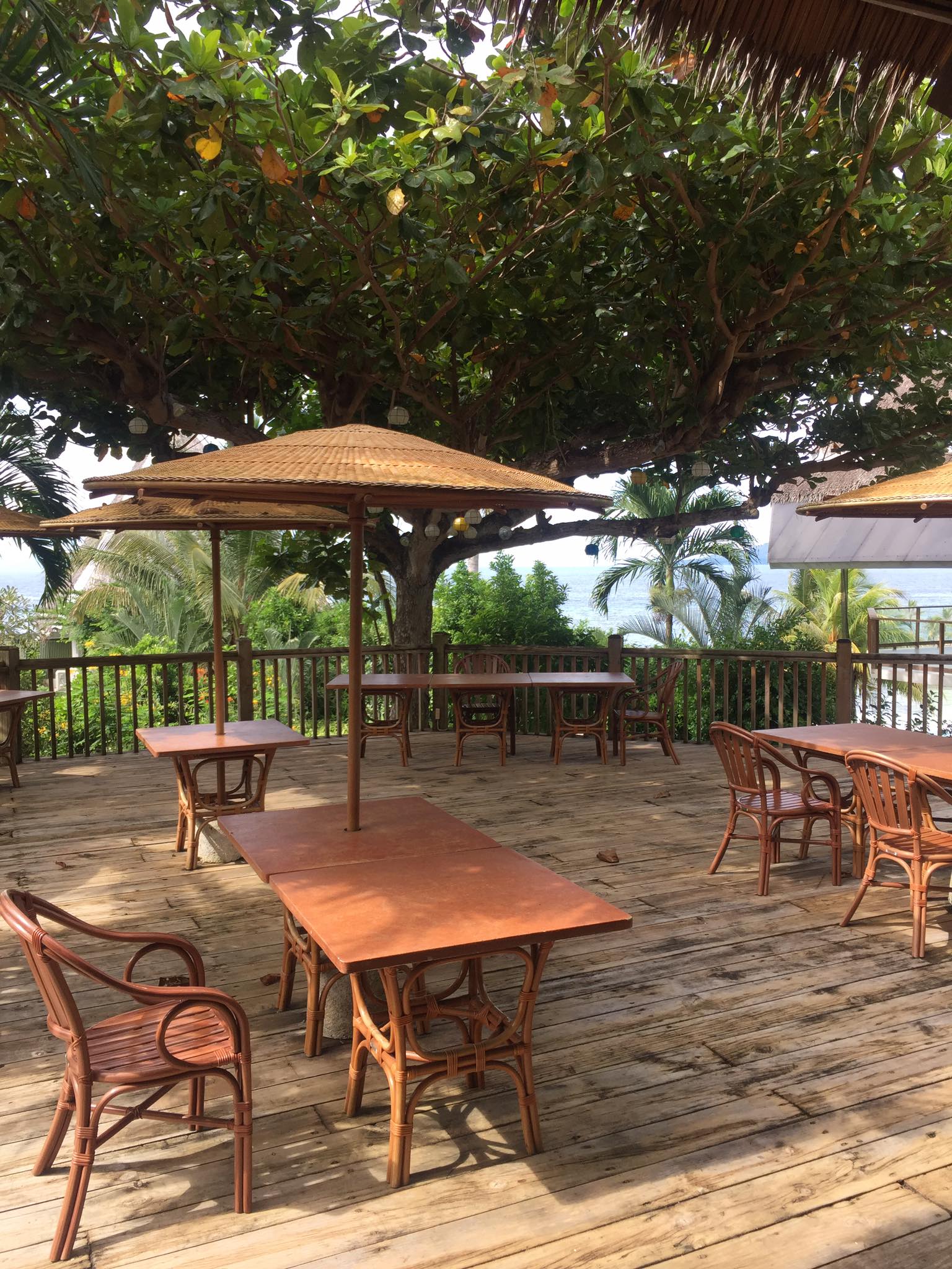 mithi resort bohol, mithi resort and spa, mithi resort contact number, mithi resort menu, mithi resort owner, mithi resort dauis, mithi resort and spa address, mithi resort price, mithi resort bohol review mithi resort and spa room rates, bohol resorts, bohol resorts panglao, bohol resorts for family, bohol resorts promo, bohol resorts agoda, bohol resorts alona beach bohol resorts 5 star, bohol resorts for sale, bohol resorts with tour packages, bohol resorts luxury, where to stay in bohol, is bohol open for tourists, bohol blog, bohol blogger, bohol blog 2020, bohol blog review, blog bohol tour, blogs bohol travel, bohol food blog, bohol news blog, panglao bohol blog, cebu bohol blog 2019, the boholana, bohol hidden gems