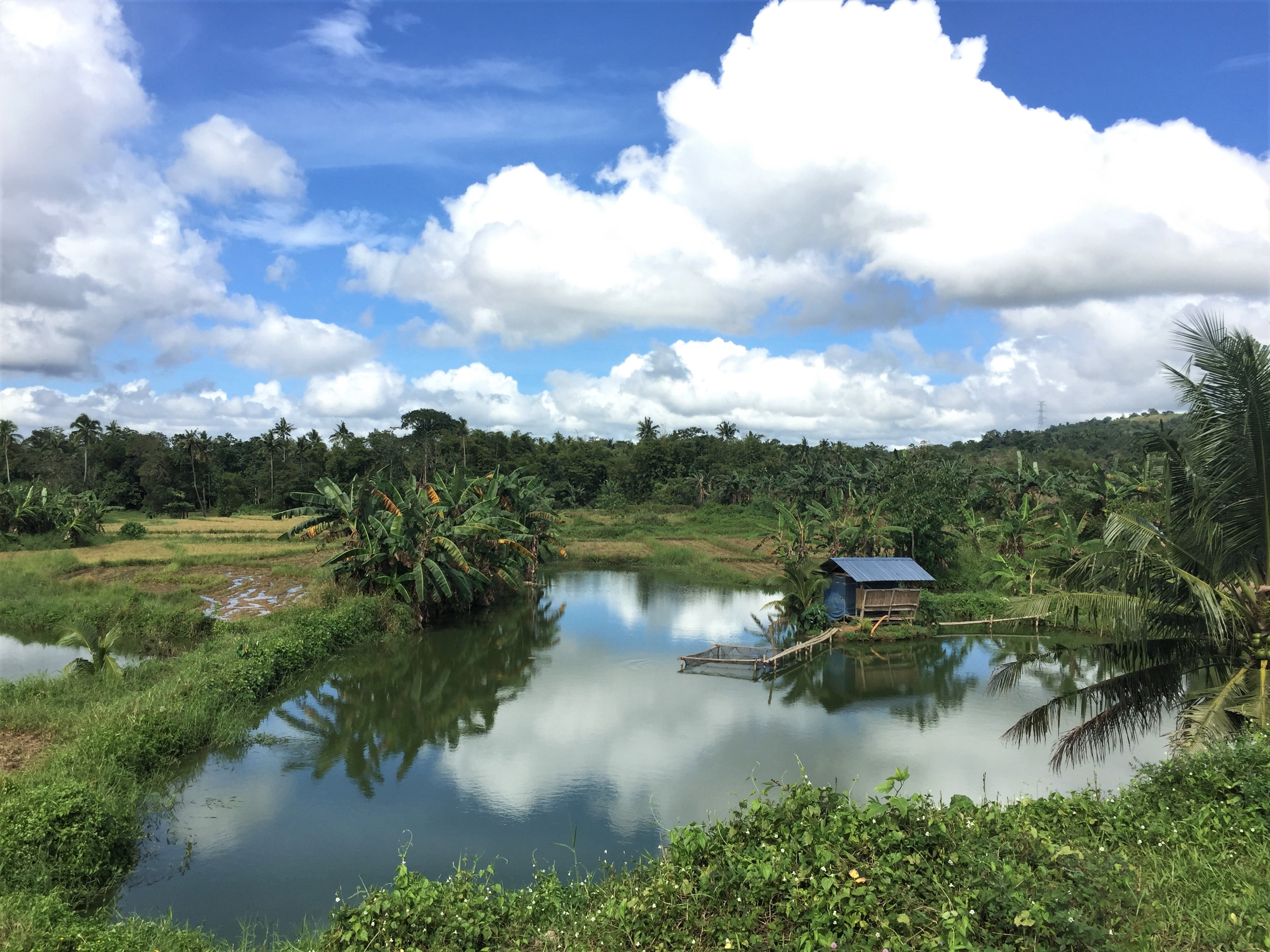 taytay plateau carmen bohol, carmen bohol tourist spots, chocolate hills carmen bohol, taytay hills carmen bohol, chocolate hills complex carmen bohol, chocolate hills carmen bohol philippines, is bohol open for tourists, bohol blog, bohol blogger, bohol blog 2020, bohol blog review, blog bohol tour, blogs bohol travel, bohol food blog, bohol news blog, panglao bohol blog, cebu bohol blog 2019, the boholana, bohol hidden gems, bohol map, bohol tourist spot, bohol earthquake, bohol chronicle, bohol chocolate hills, bohol history, ano ang bohol, bohol beach, bohol philippines map, bohol island, new tourist spot in bohol, bohol tourist spots itinerary, cebu tourist spot, cortes, bohol tourist spot, tourist spot in bohol 2020