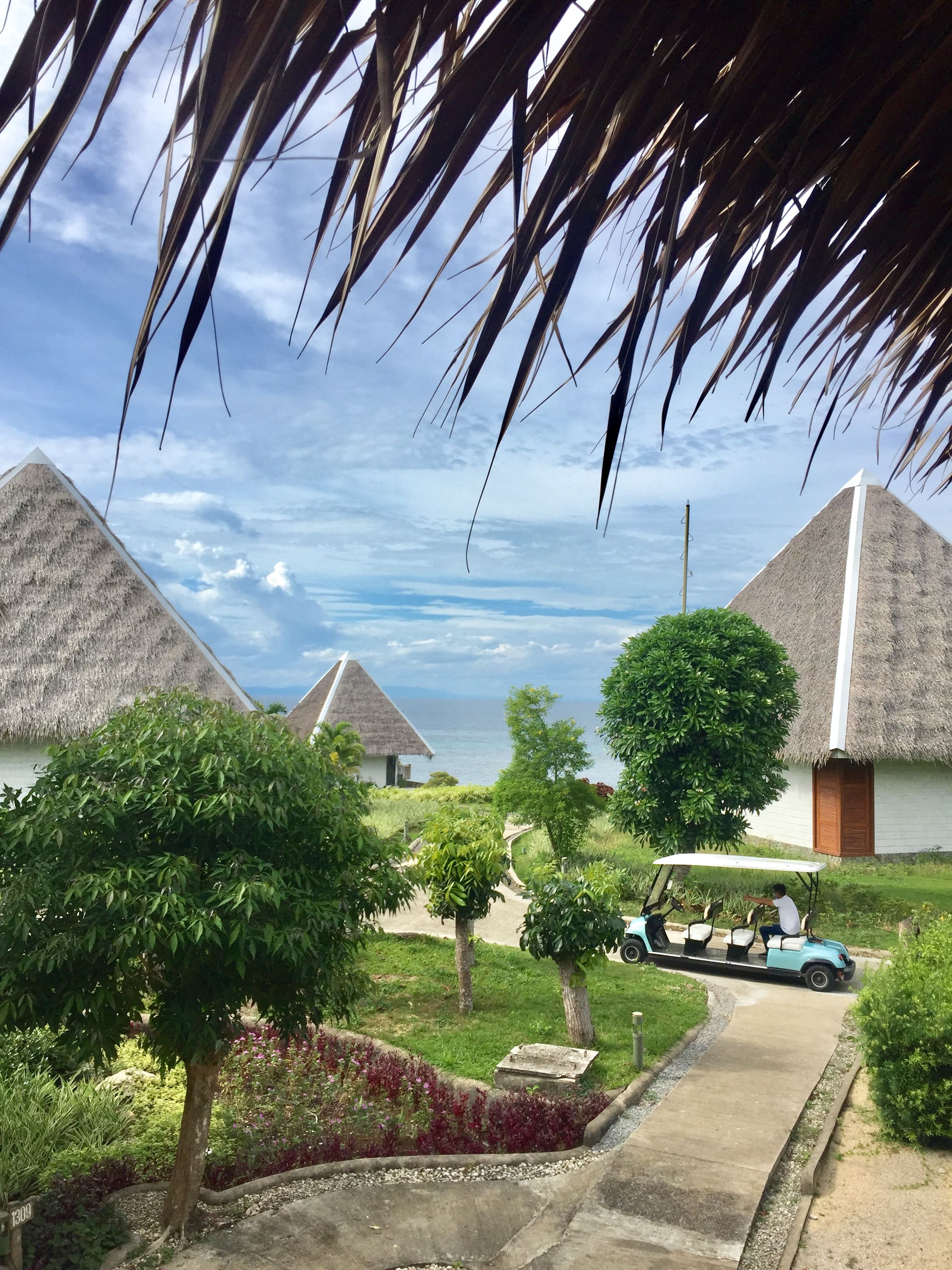 mithi resort bohol, mithi resort and spa, mithi resort contact number, mithi resort menu, mithi resort owner, mithi resort dauis, mithi resort and spa address, mithi resort price, mithi resort bohol review mithi resort and spa room rates, bohol resorts, bohol resorts panglao, bohol resorts for family, bohol resorts promo, bohol resorts agoda, bohol resorts alona beach bohol resorts 5 star, bohol resorts for sale, bohol resorts with tour packages, bohol resorts luxury, where to stay in bohol, is bohol open for tourists, bohol blog, bohol blogger, bohol blog 2020, bohol blog review, blog bohol tour, blogs bohol travel, bohol food blog, bohol news blog, panglao bohol blog, cebu bohol blog 2019, the boholana, bohol hidden gems