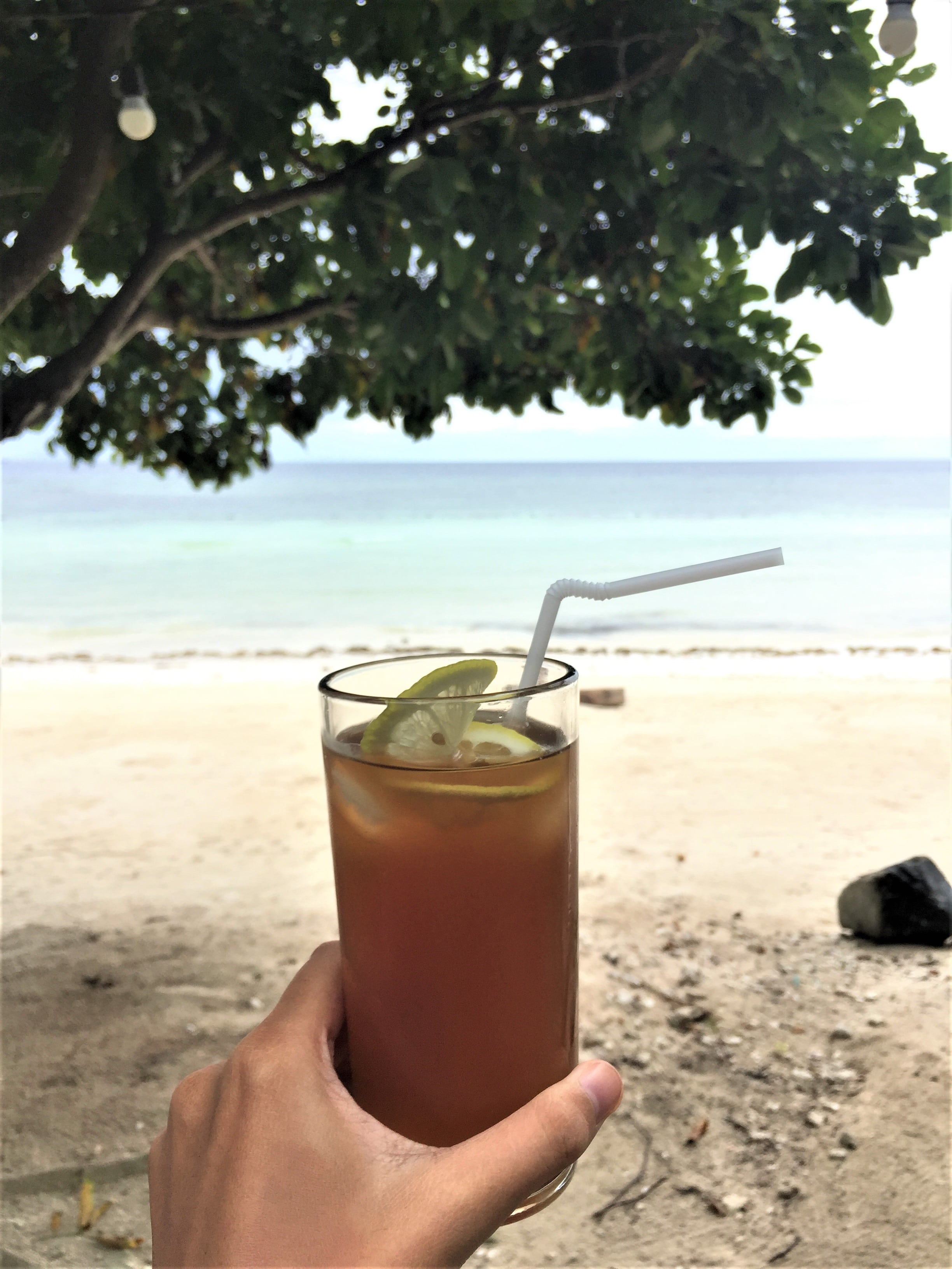 dumaluan beach resort, dumaluan beach resort contact number, dumaluan resort rates, dumaluan beach, dumaluan contact number, dumaluan beach description, dumaluan beach contact number, dumaluan beach entrance fee, dumaluan beach resort website, dumaluan beach resort bahay kubo rate, dumaluan beach resort room rates, dumaluan beach resort review, bohol beach club, dumaluan beach resort package, dumaluan 1 beach resort, bohol beach, bohol island, bohol hotels panglao, list of hotels in bohol, cheap hotels in bohol, where to stay in bohol, bohol beach resort, affordable resorts in panglao, panglao resort near beach, panglao resort with pool, public beach resort in panglao, where to stay in bohol 2021, things to do in bohol, where to stay in panglao, bohol blog, bohol tourist spot, bohol travel package, where to stay in bohol backpacker, bohol blogger, panglao island blog, bohol tourist spot