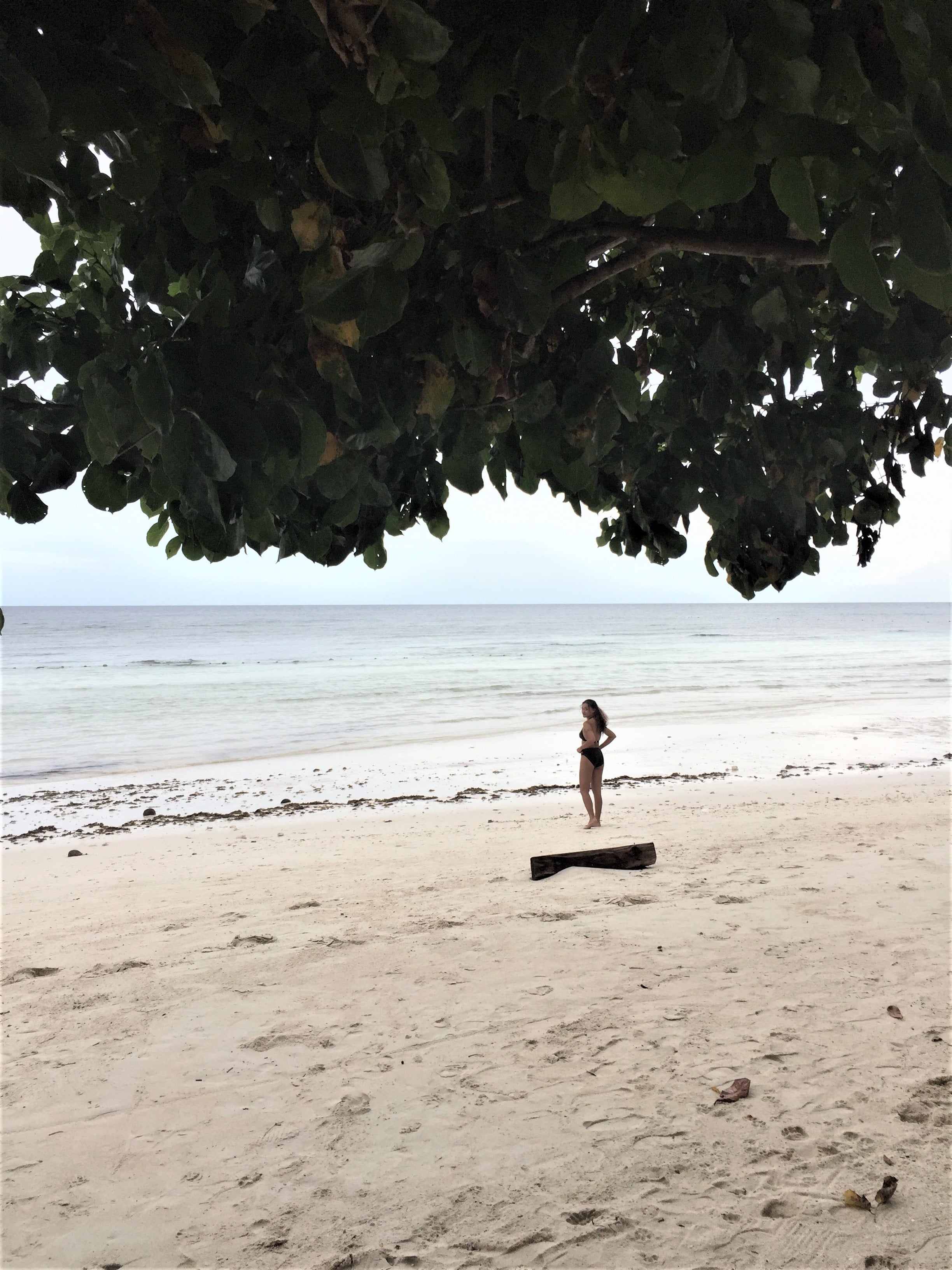 dumaluan beach resort, dumaluan beach resort contact number, dumaluan resort rates, dumaluan beach, dumaluan contact number, dumaluan beach description, dumaluan beach contact number, dumaluan beach entrance fee, dumaluan beach resort website, dumaluan beach resort bahay kubo rate, dumaluan beach resort room rates, dumaluan beach resort review, bohol beach club, dumaluan beach resort package, dumaluan 1 beach resort, bohol beach, bohol island, bohol hotels panglao, list of hotels in bohol, cheap hotels in bohol, where to stay in bohol, bohol beach resort, affordable resorts in panglao, panglao resort near beach, panglao resort with pool, public beach resort in panglao, where to stay in bohol 2021, things to do in bohol, where to stay in panglao, bohol blog, bohol tourist spot, bohol travel package, where to stay in bohol backpacker, bohol blogger, panglao island blog, bohol tourist spot